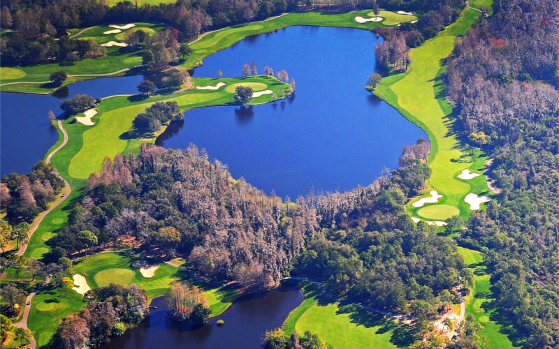 Innisbrook The Golfer