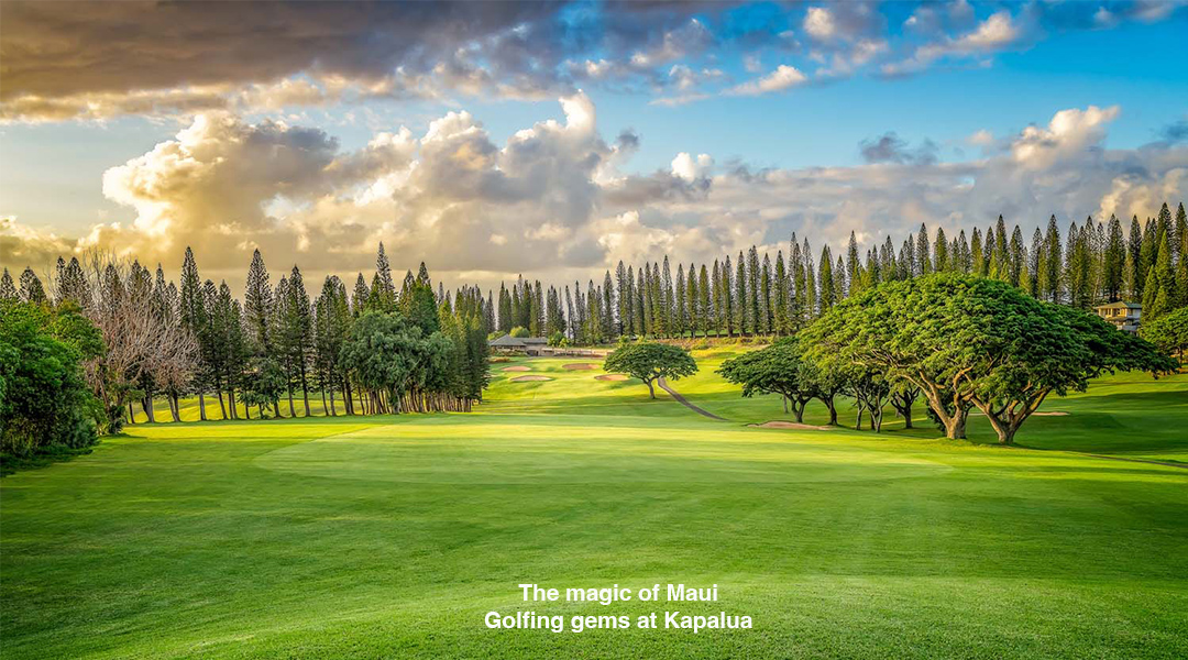 kapalua copy (2)